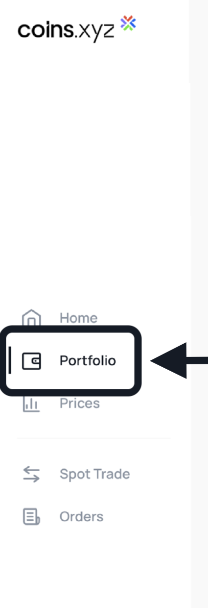 XYZ Portfolio tab.png