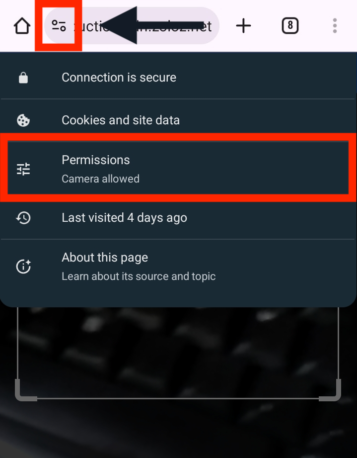 XYZ Mobile Zoloz Camera Permission.png